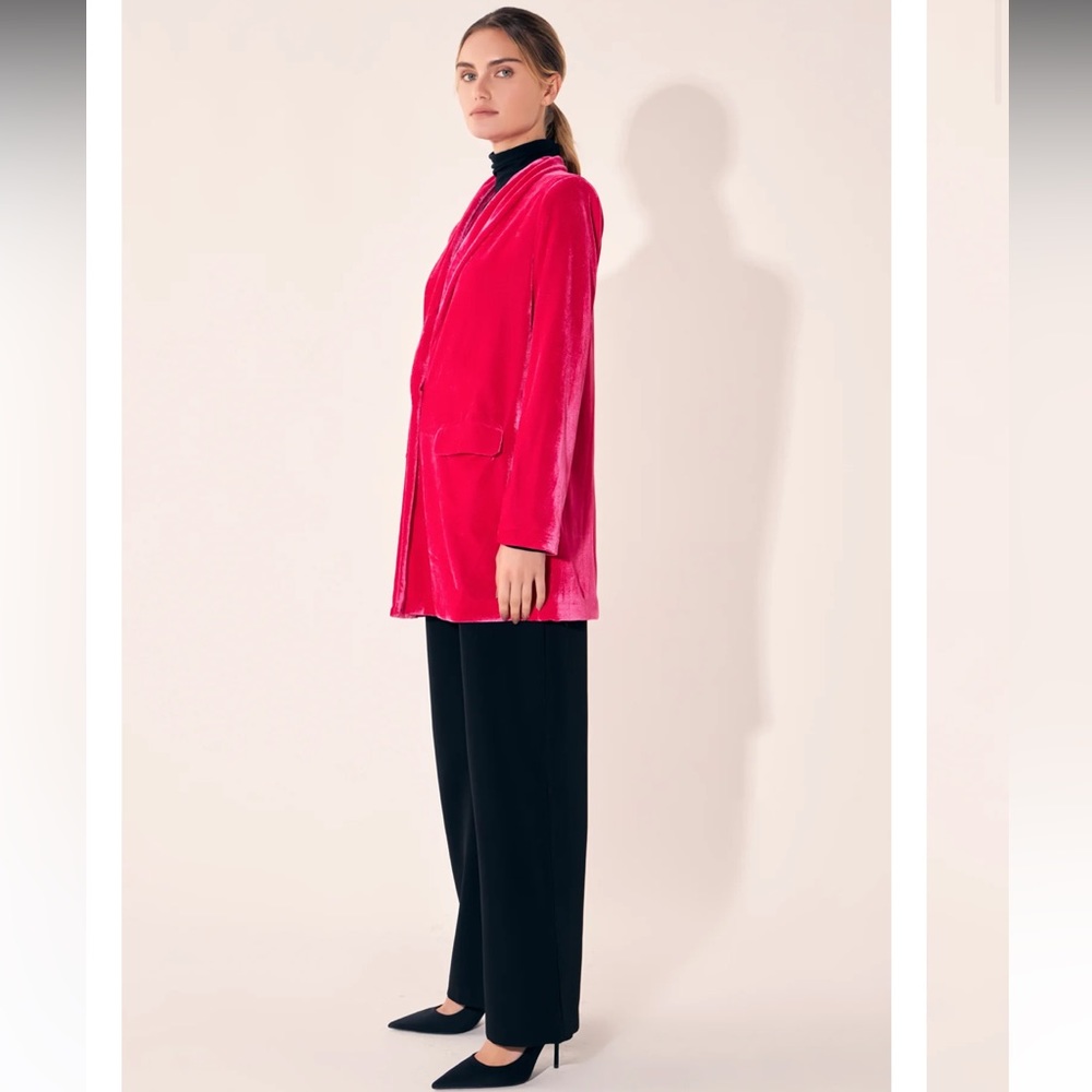 Velvet Blazer - Picture 3 of 5